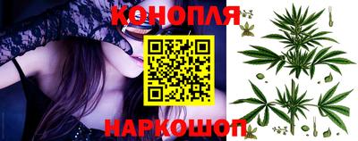 Альфа ПВП Обнинск