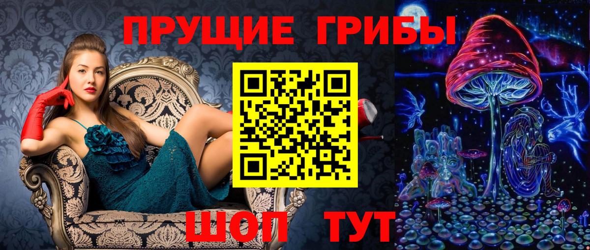 Галлюциногенные грибы Psilocybine cubensis Ангарск