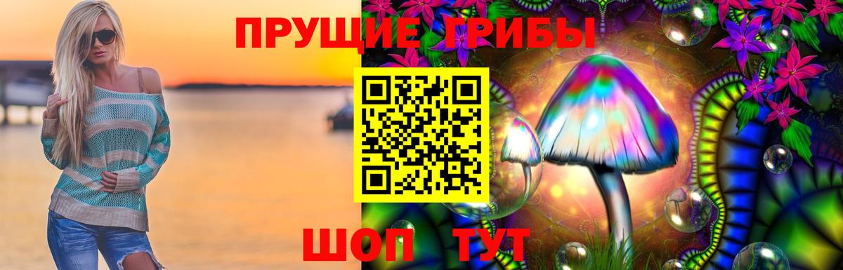 Галлюциногенные грибы Psilocybe  Вход с VPN  Ангарск  Псилоцибиновые грибы мухоморы 